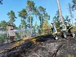 IMG-20250629-WA0022