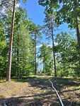 IMG-20250629-WA0027