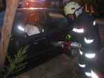 IMG 5218
