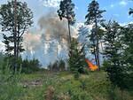 IMG-20250629-WA0002
