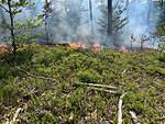 IMG-20250629-WA0011