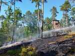 IMG-20250629-WA0021