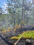 IMG-20250629-WA0025